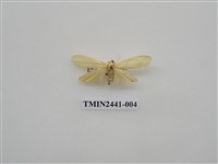 藏品(乳白苔蛾)的圖片